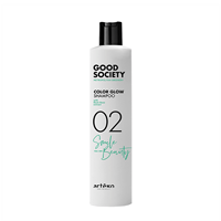 Шампунь для окрашенных волос / 02 Color Glow Shampoo 250 мл, ARTEGO