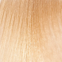 10 крем-краска стойкая для волос, очень светлый платиновый блонд / Optica Hair Color Cream Very Light Platinum Blonde 100 мл, PAUL RIVERA