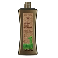 Шампунь с аргановым маслом для волос / BIOKERA Argan 1000 мл, SALERM COSMETICS