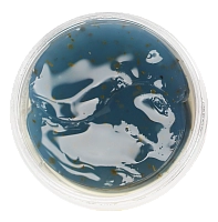 L.SANIC Патчи гидрогелевые с экстрактом голубой агавы для области вокруг глаз 60 шт, фото 4