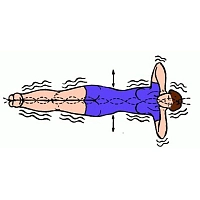 GESS Тренажер для спины / Healthy Spine, фото 4