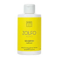 Шампунь серный для волос восстанавливающий баланс для жирных волос / Zolfo Attivo Equilibrante 250 мл, MARIO FISSI 1937