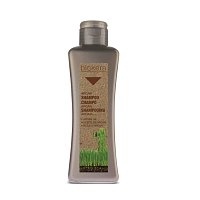 Шампунь с аргановым маслом для волос / BIOKERA Argan 300 мл, SALERM COSMETICS