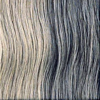 LISAP MILANO 0/18 краска для волос / LISAP MAN COLOR 60 мл, фото 1