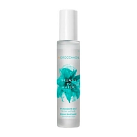 Спрей увлажняющий парфюмированный для волос и тела Туманы Марокко / Mist for hair and body Brumes du Maroc 100 мл, MOROCCANOIL