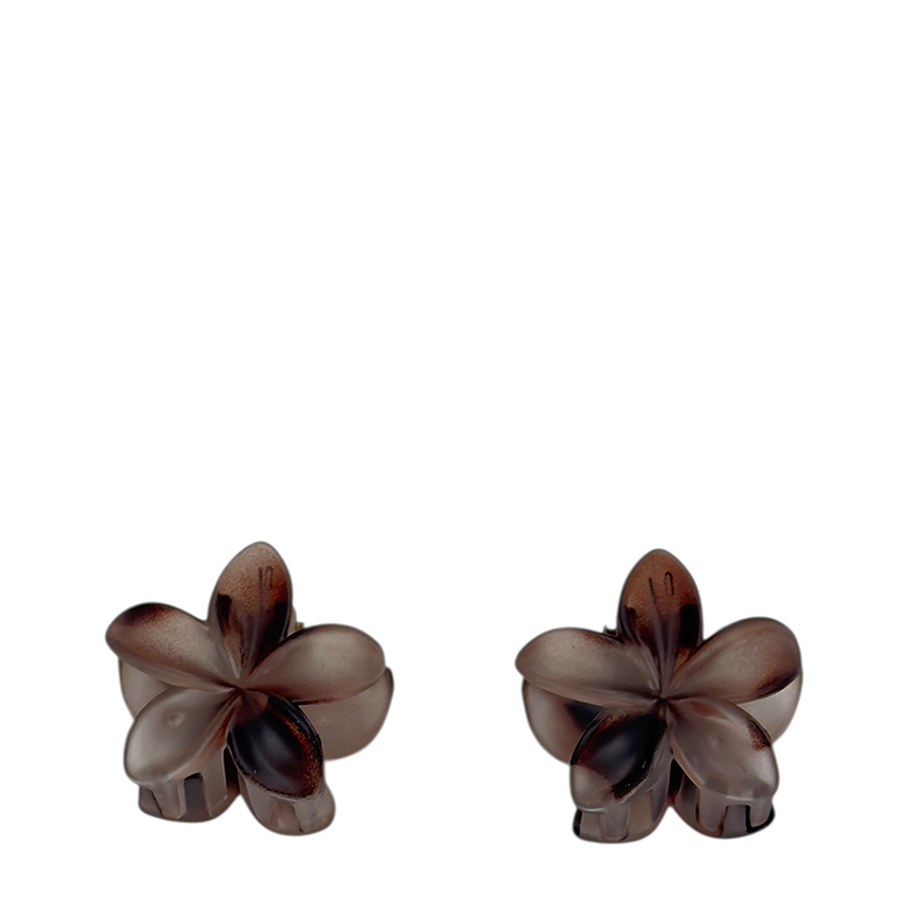 IWOU PROFESSIONAL Краб для волос малый Франжипани розово-коричневый матовый 4*4см 2шт, фото 1