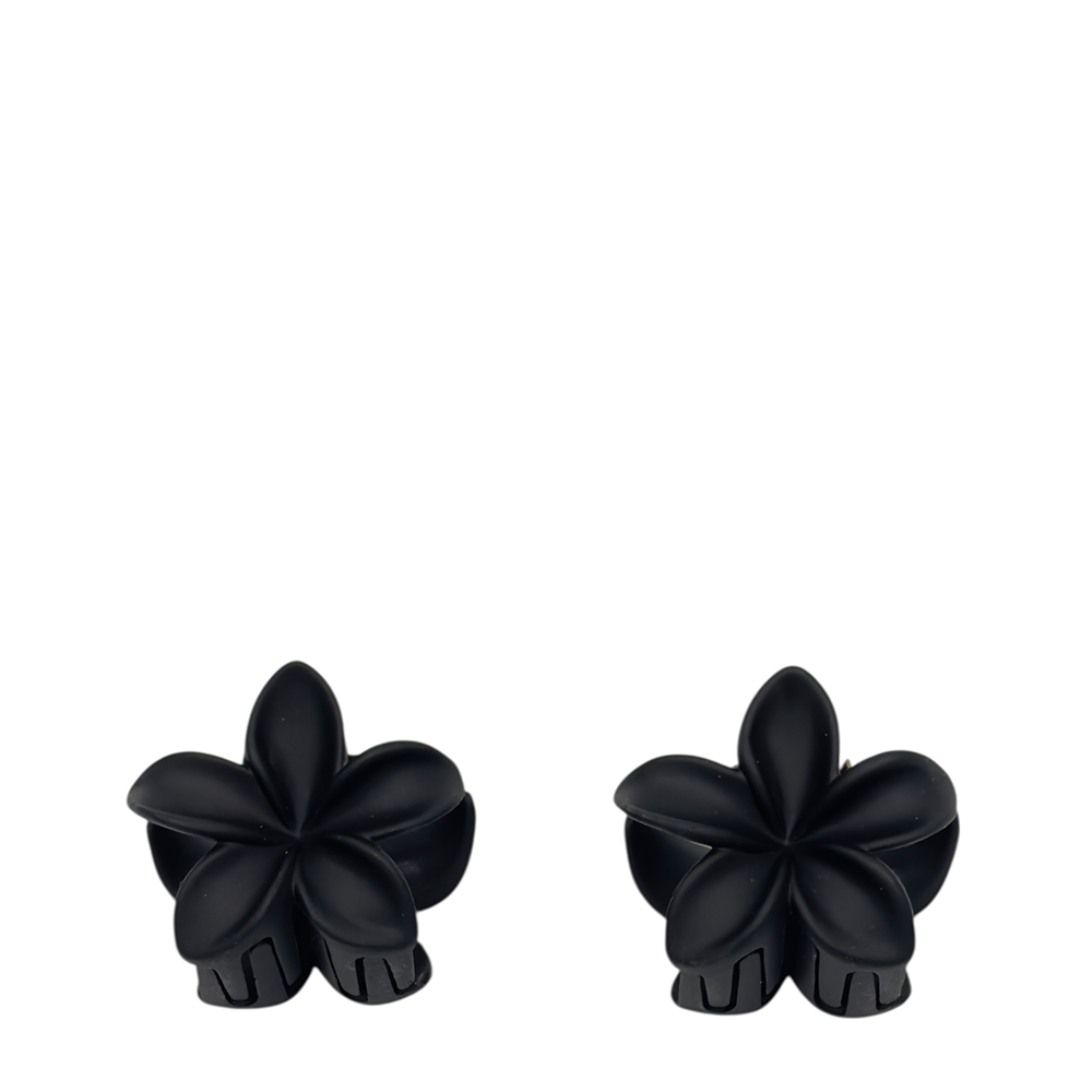 IWOU PROFESSIONAL Краб для волос малый Франжипани черный матовый 4*4см 2шт, фото 1