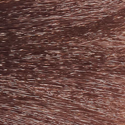 

KEZY 7.51 Крем-краска стойкая увлажняющая для волос, фундук / INVOLVE 100 мл, Ореховый