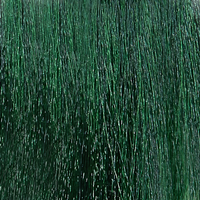 EPICA PROFESSIONAL Крем-краска для волос, корректор зеленый / Colorshade Green 100 мл, фото 1