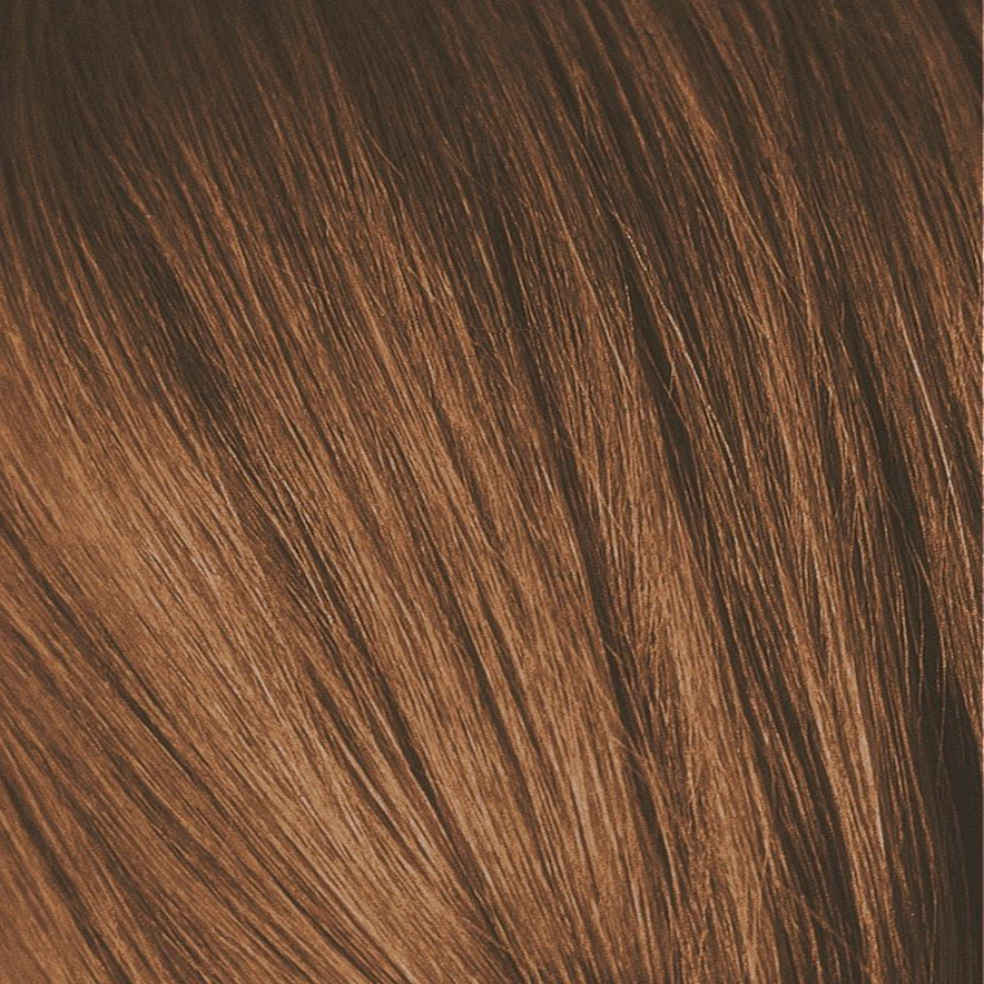 SCHWARZKOPF PROFESSIONAL 6-60 краска для волос Темный русый шоколадный натуральный / Igora Royal Absolutes 60 мл