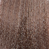 EPICA PROFESSIONAL 8.17 гель-краска для волос, светло-русый древесный / Colordream 100 мл, фото 1