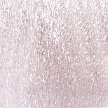 EPICA PROFESSIONAL 10.81 крем-краска для волос, светлый блондин жемчужно-пепельный / Colorshade 100 мл
