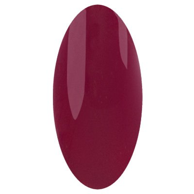 IRISK PROFESSIONAL 056 гель-лак для ногтей, близнецы / Zodiak 10 г, фото 1