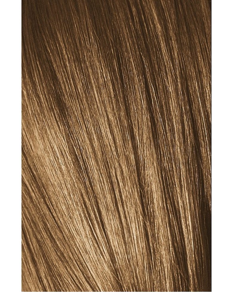 игора royal 8. Igora светло русый. Igora royal 7-46. Igora светло русый. Igora royal 7.