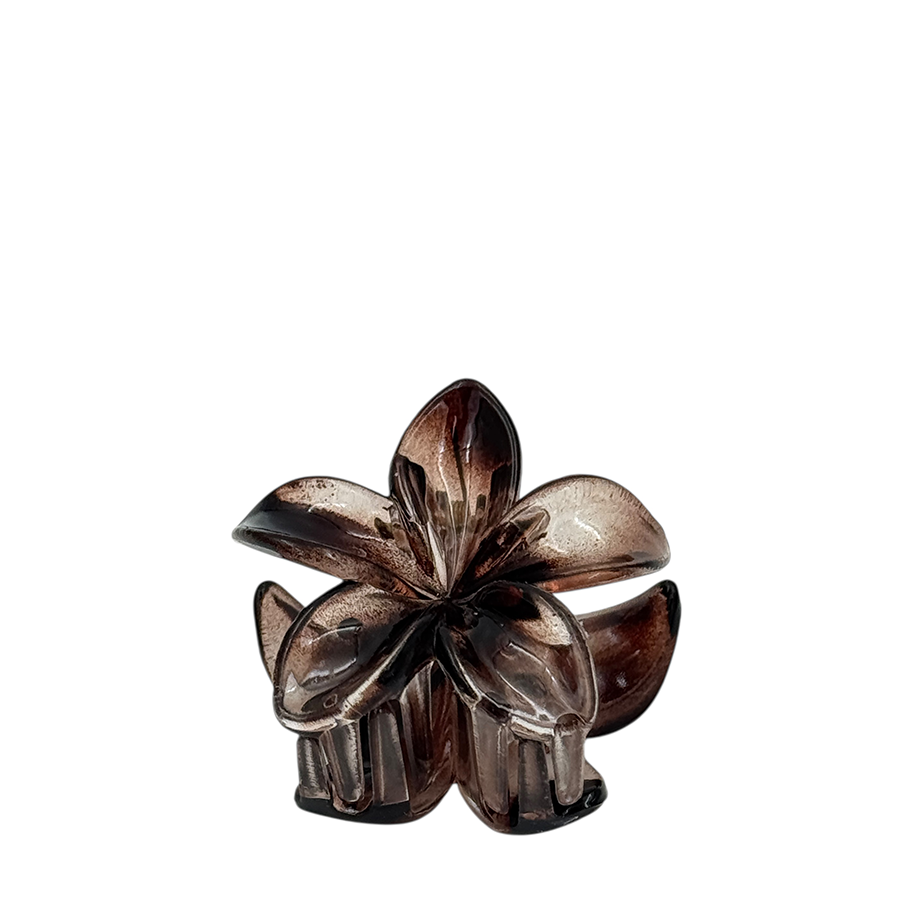 IWOU PROFESSIONAL Краб для волос малый Франжипани розово-коричневый глянец 4*4см 2шт, фото 2