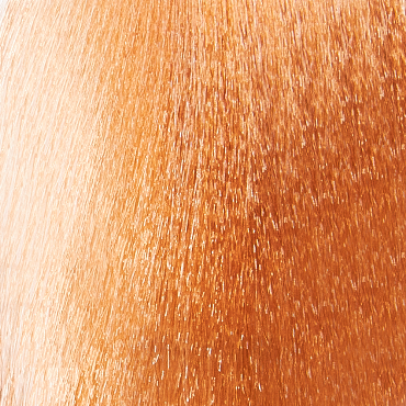 EPICA PROFESSIONAL 10.3 крем-краска для волос, светлый блондин золотистый / Colorshade 100 мл