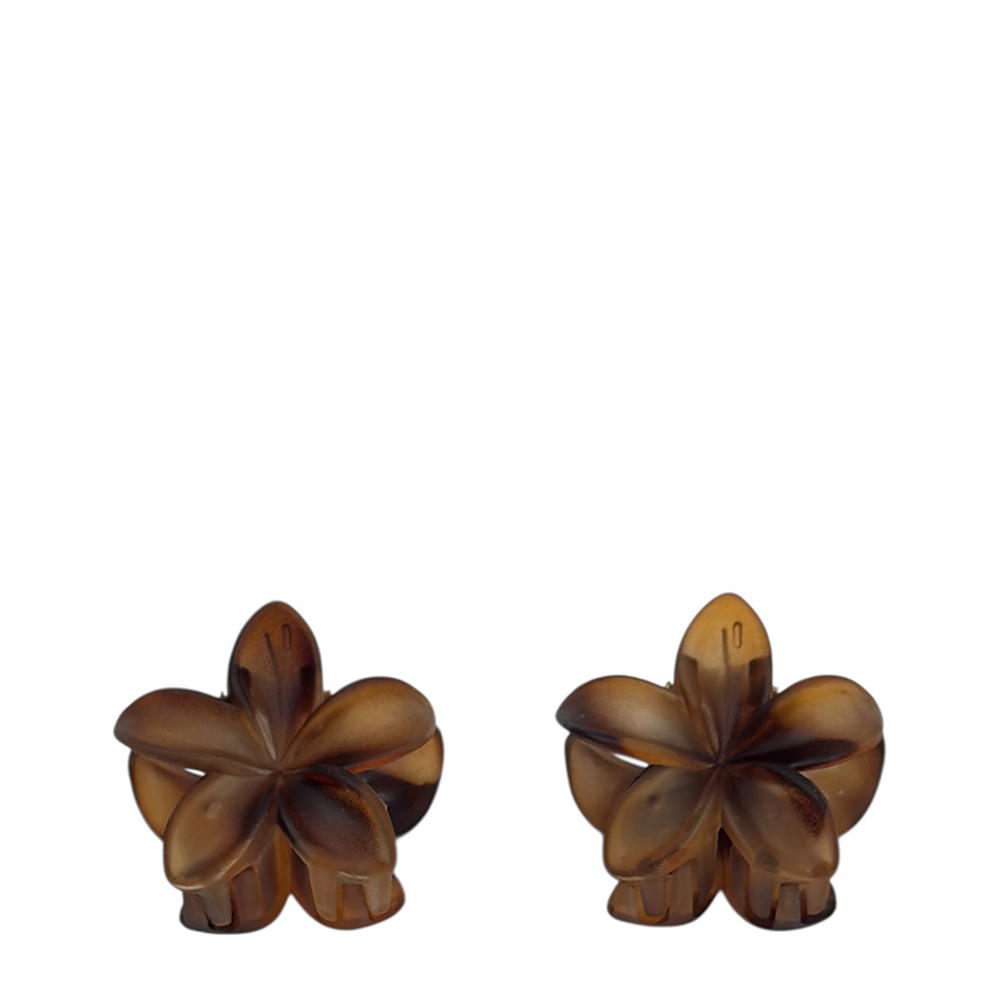 IWOU PROFESSIONAL Краб для волос малый Франжипани коричневый матовый 4*4см 2шт, фото 1