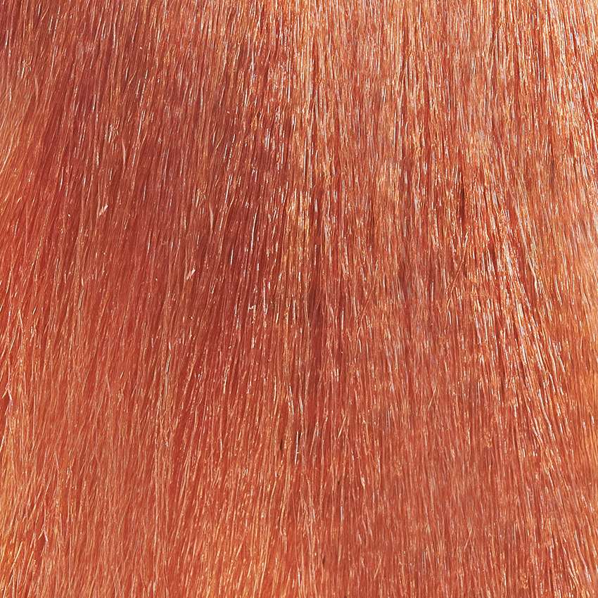PAUL RIVERA 8.43 крем-краска стойкая для волос, светлый блонд медно-золотистый / Optica Hair Color Cream Light Golden Copper Blonde 100 мл моделирующий крем 3 в 1 идеальное тело total body cream