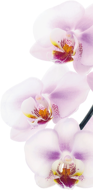 Испанская профессиональная косметика Tegor (Тегор)