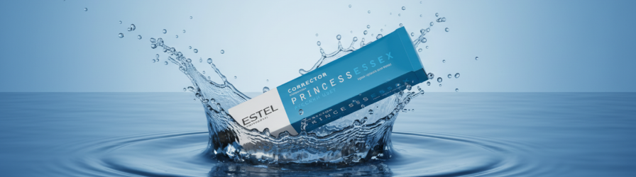 PRINCESS ESSEX Correct.png