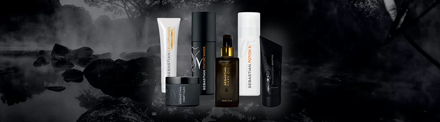 SEBASTIAN PROFESSIONAL