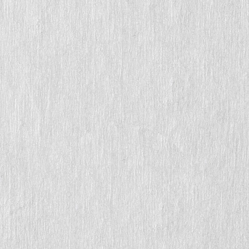 ЧИСТОВЬЕ Салфетка спанлейс 25*30 см белый 100 шт/уп, фото 3