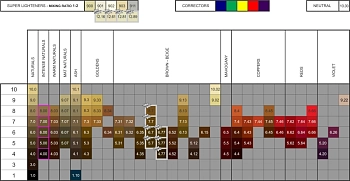 FARMAVITA Карта цветов большая NEW / LIFE COLOR PLUS, фото 1