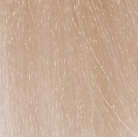 INSIGHT 11.10 краска для волос, платиново-пепельный блондин / INCOLOR 100 мл, фото 1