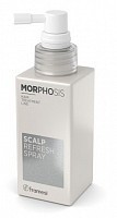 Спрей себорегулирующий для кожи головы / MORPHOSIS SCALP REFRESH SPRAY 100 мл, FRAMESI
