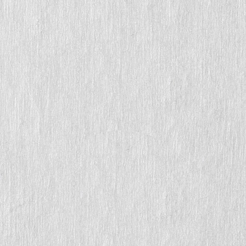 ЧИСТОВЬЕ Салфетка спанлейс 20*30 см белый 100 шт/уп, фото 4