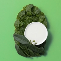 OGX Кондиционер освежающий с маслом чайного дерева и мятой / Extra Strength Refreshing Scalp + Teatree Mint 385 мл, фото 4
