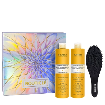 Набор Термозащита (шампунь 300 мл + кондиционер 300 мл + массажная щетка) AH Thermo Defense Therapy Revival 