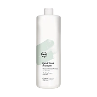360 HAIR PROFESSIONAL Шампунь глубокого очищения для всех типов волос / Quick Treat Shampoo 1000 мл, фото 1