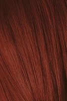 SCHWARZKOPF PROFESSIONAL 5-88 мусс тонирующий для волос / Игора Эксперт 100 мл, фото 1