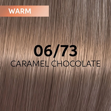 WELLA PROFESSIONALS 06/73 гель-крем краска для волос / WE Shinefinity 60 мл