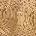 9/73 краска для волос, очень светлый блонд коричнево-золотистый / Color Touch 60 мл