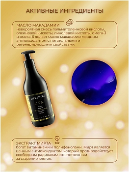 PAUL RIVERA Шампунь против желтизны волос / True Silver Anti-yellow Shampoo 500 мл, фото 3