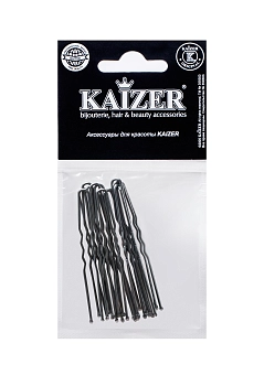 KAIZER Шпилька металлическая, серебро, 60 мм, 15 шт, фото 2
