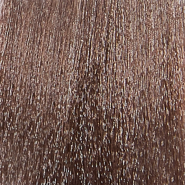 EPICA PROFESSIONAL 8.17 гель-краска для волос, светло-русый древесный / Colordream 100 мл, фото 1