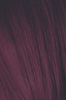 SCHWARZKOPF PROFESSIONAL 5-99 мусс тонирующий для волос / Игора Эксперт 100 мл, фото 1