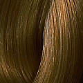 7/73 краска для волос (интенсивное тонирование), блонд коричнево-золотистый / AMMONIA-FREE 60 мл