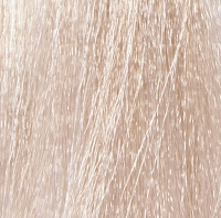 10.0 краска для волос, супер светлый блондин натуральный / INCOLOR 100 мл, INSIGHT