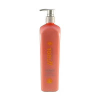 Шампунь защита цвета окрашенных волос / Color Protect Shampoo 500 мл, ANGEL PROFESSIONAL