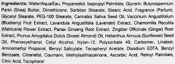 HEMPZ Молочко увлажняющее для тела лаванда, ромашка и дикие ягоды / Blueberry Lavender and Chamomile Herbal Body Moisturizer 500 мл, фото 2