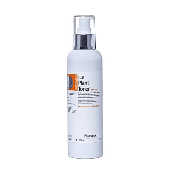 SKINDOM Тоник с ледяником для жирной и комбинированной кожи / ICE PLANT TONER SENSITIVE 220 мл, фото 1