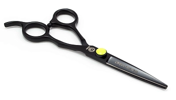 Ножницы парикмахерские PBS-R10B 5.5&quot; blak & green
