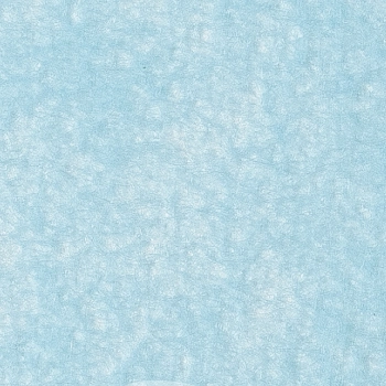 ЧИСТОВЬЕ Простыни SMS 200х160 см 12 г/м2 Голубой 20 шт/уп, фото 2