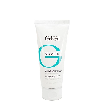 GIGI Крем увлажняющий активный / Active Moisturizer SEA WEED 250 мл, фото 1