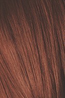 6-80 краска для волос / Игора Роял Абсолют 60 мл, SCHWARZKOPF PROFESSIONAL