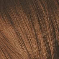 SCHWARZKOPF PROFESSIONAL 6-60 краска для волос Темный русый шоколадный натуральный / Igora Royal Absolutes 60 мл, фото 1